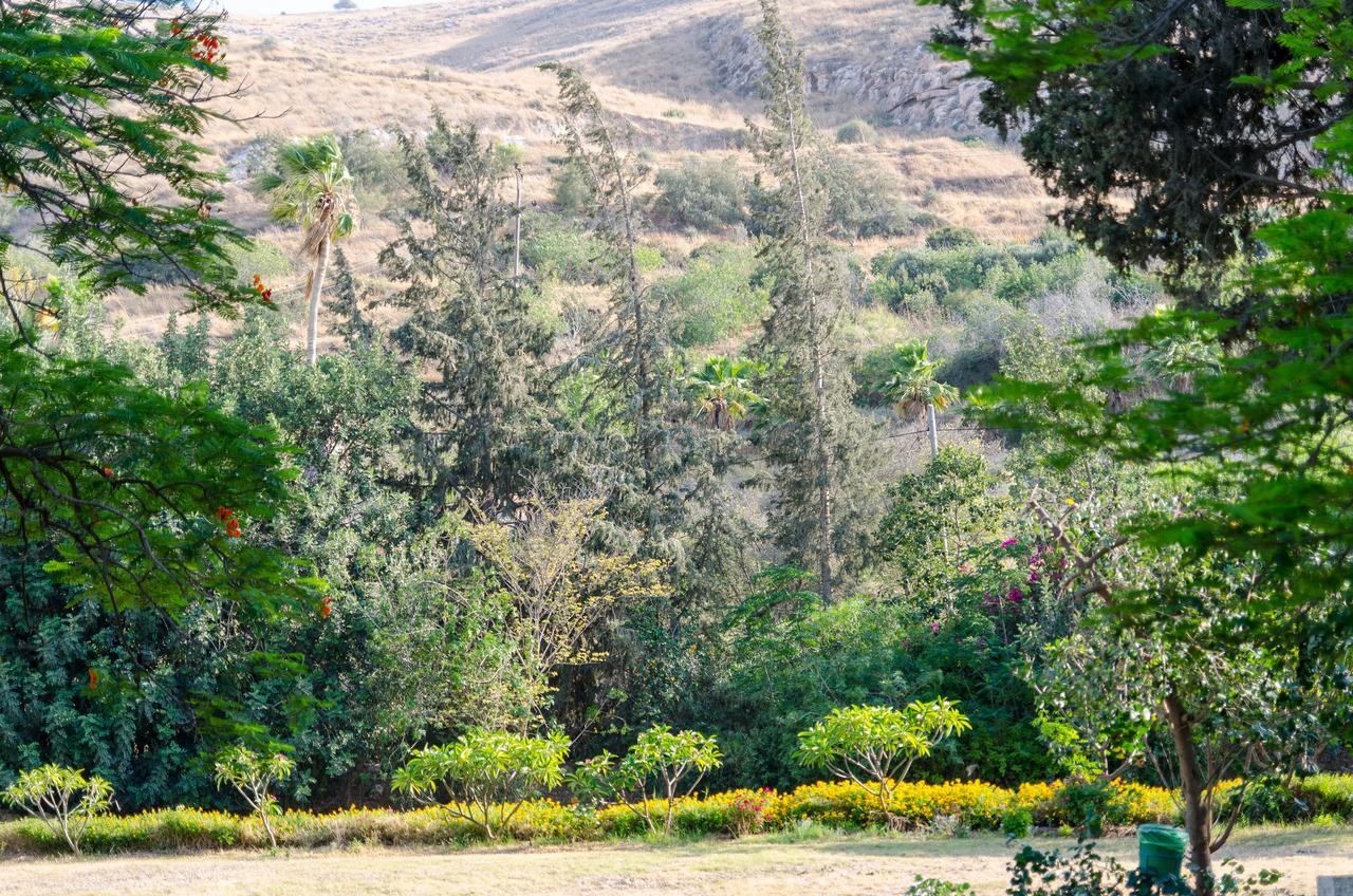Bait Alfa Kibbutz Country Lodging Bet Alfa Oda fotoğraf